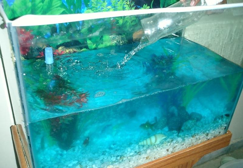 Доливка воды в аквариум